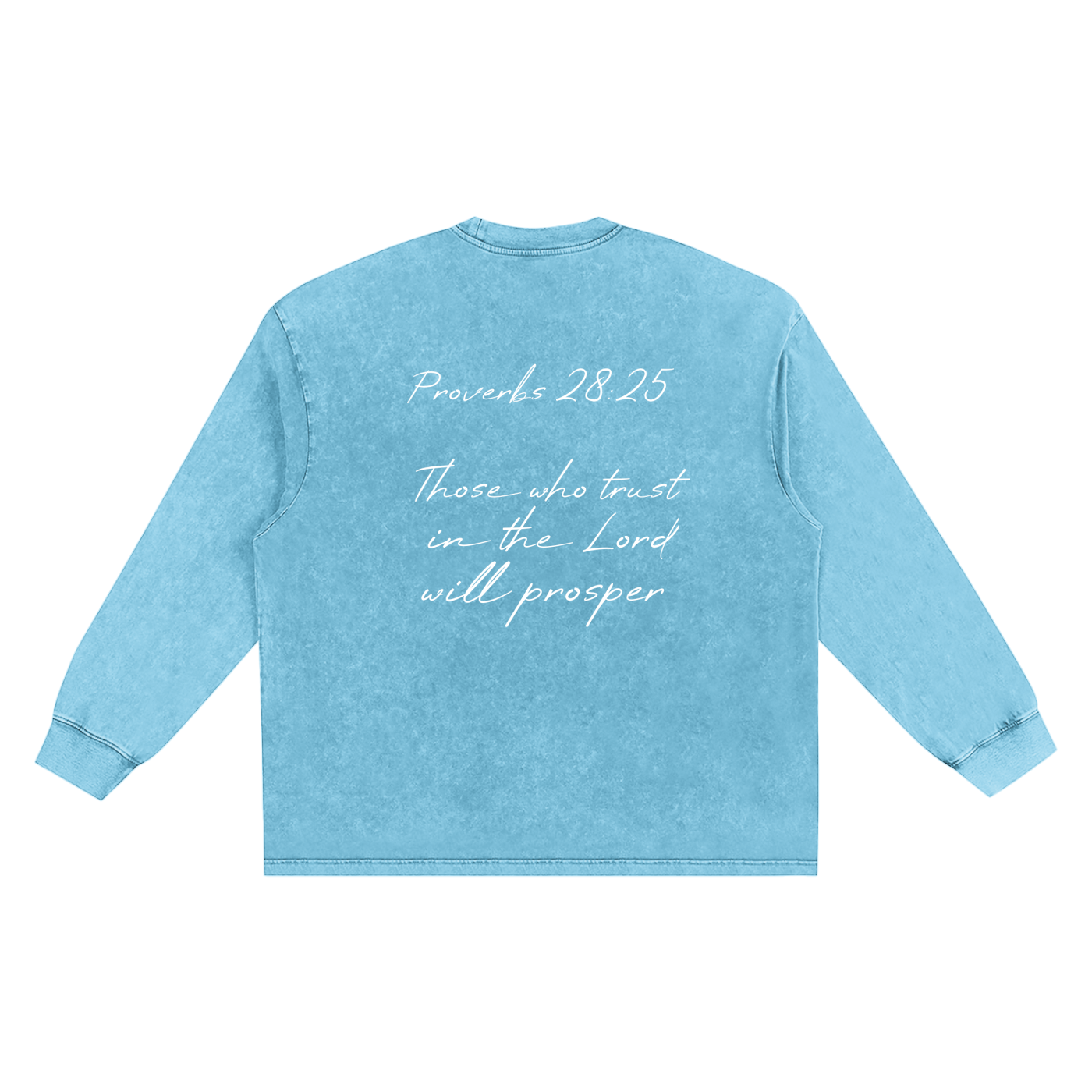 Proverbs 28 Snow Washed Frayed Edge T-Shirt