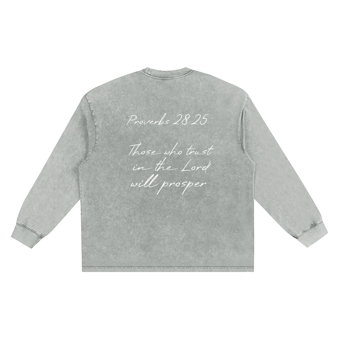 Proverbs 28 Snow Washed Frayed Edge T-Shirt