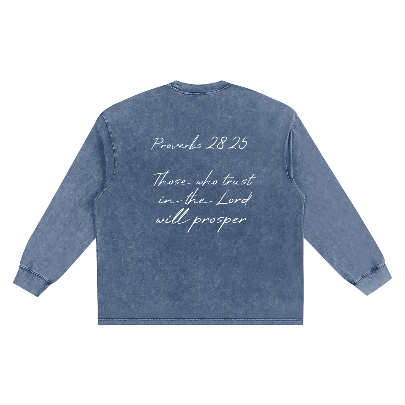 Proverbs 28 Snow Washed Frayed Edge T-Shirt