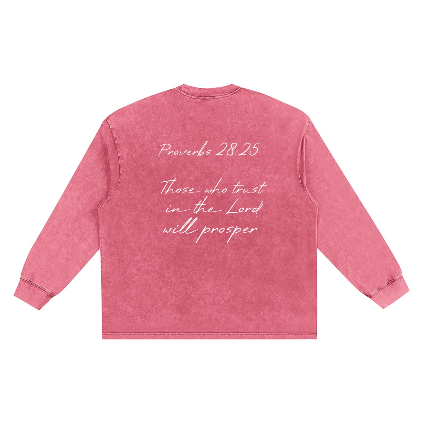 Proverbs 28 Snow Washed Frayed Edge T-Shirt