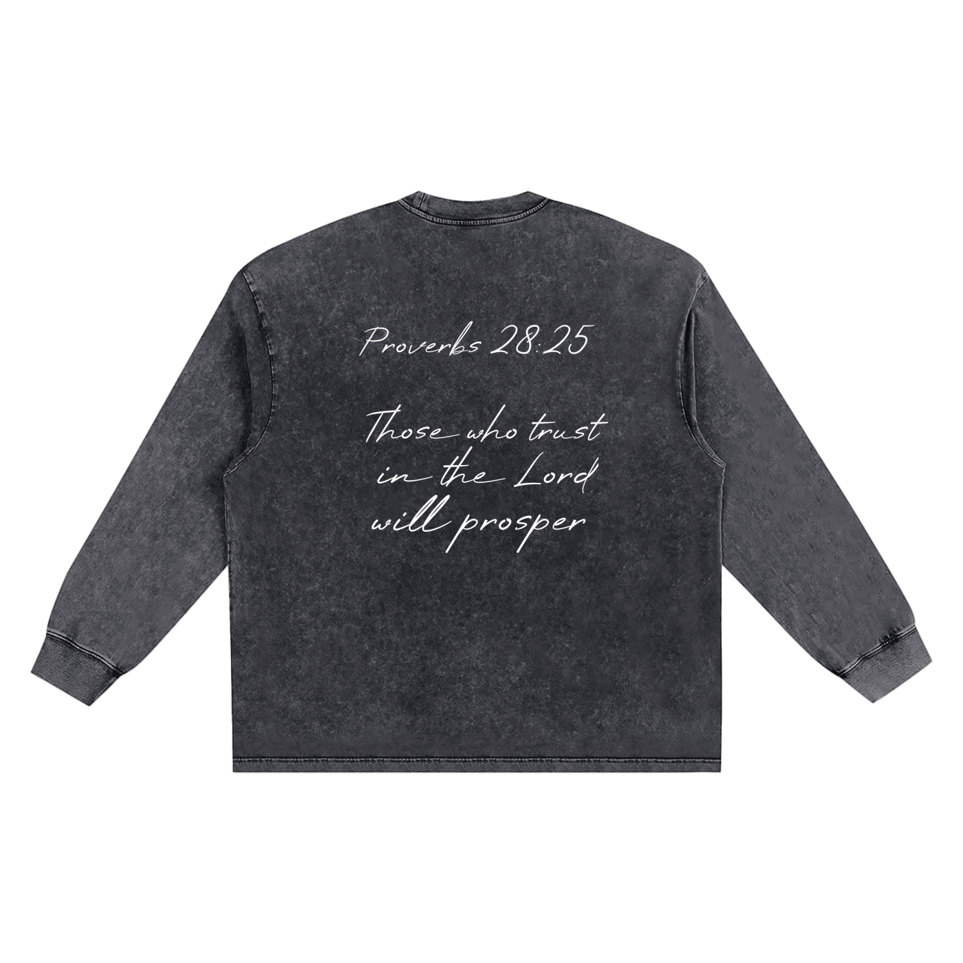 Proverbs 28 Snow Washed Frayed Edge T-Shirt