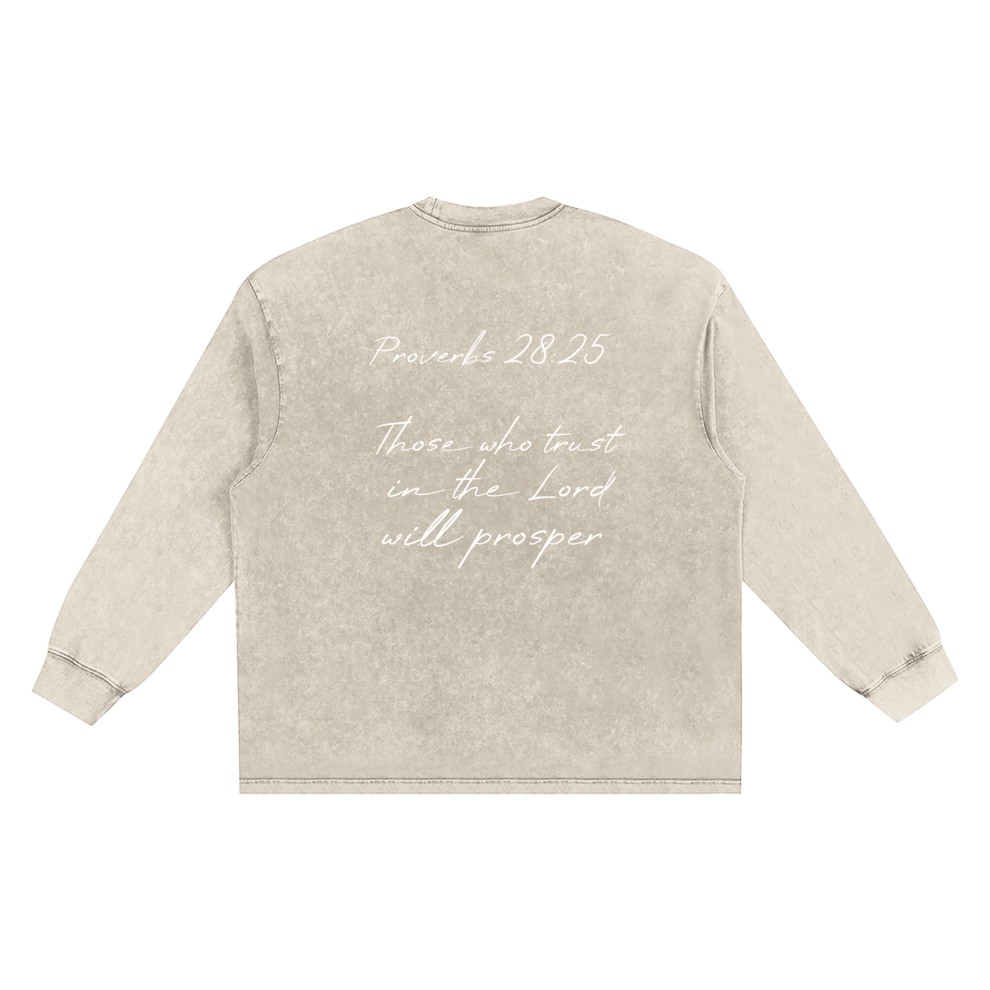 Proverbs 28 Snow Washed Frayed Edge T-Shirt