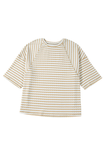 Apricot Stripe Plus Size Textured Patchwork Detail Half Sleeve Top