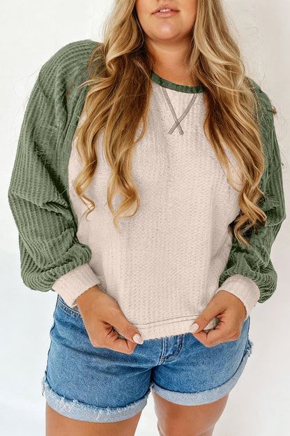 Mist Green Plus Size Waffled Color Block Long Sleeve Top - Cowaa