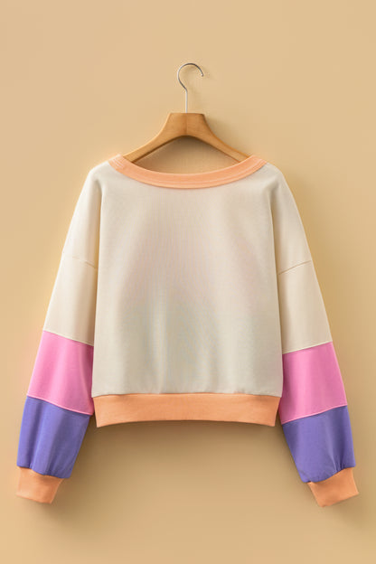 Phalaenopsis Color Block Patchwork Drop Shoulder Cropped Sweatshirt