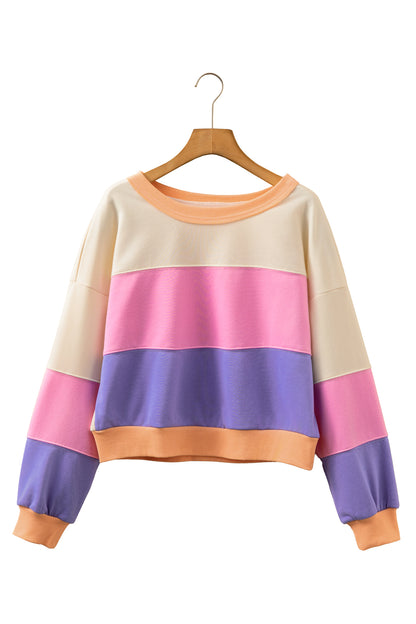Phalaenopsis Color Block Patchwork Drop Shoulder Cropped Sweatshirt