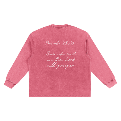 Proverbs 28 Snow Washed Frayed Edge T-Shirt