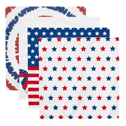 Patriotic Cloth Napkin 4 Piece Set