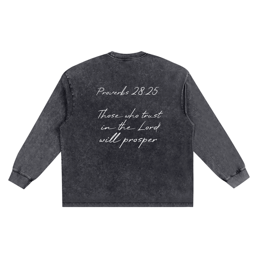 Proverbs 28 Snow Washed Frayed Edge T-Shirt